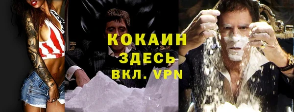 трава Абаза