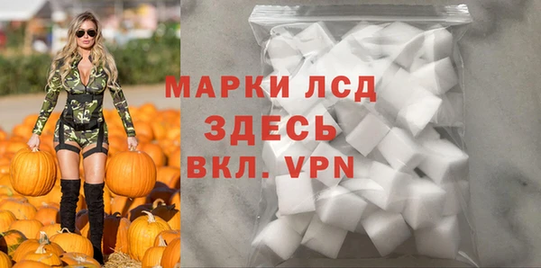 СК Абинск