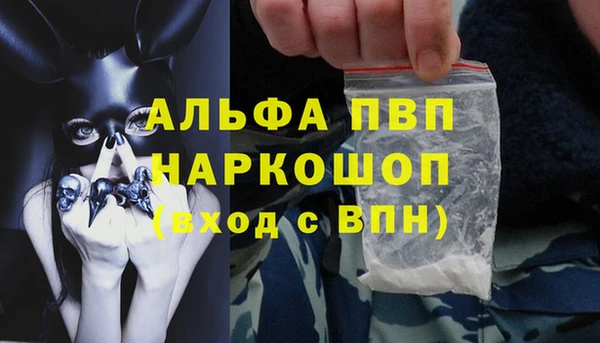 СК Абинск