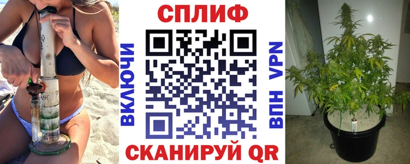 Конопля индика  блэк спрут ссылка  Костерёво 